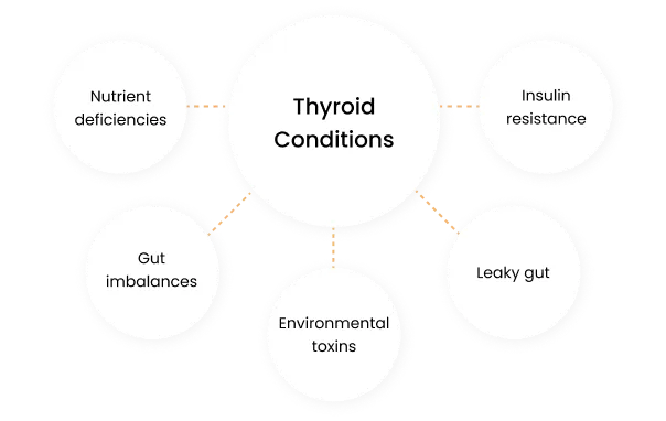 thyroid