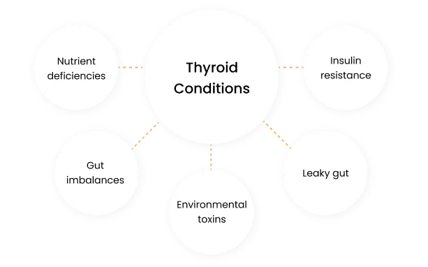 Thyroid Conditions