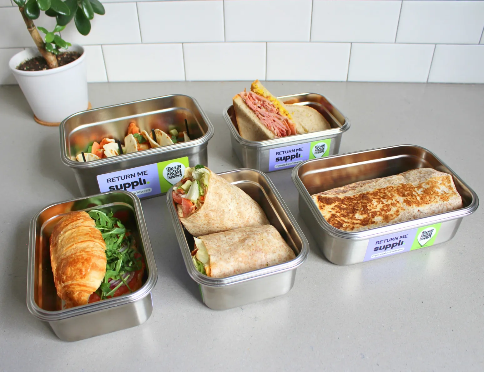 Hungerhub Box lunches