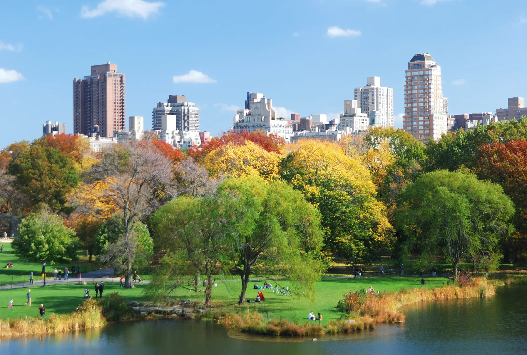 Urban park scene with green grass, colorful autumn trees, a pond with brownish-yellow reeds, and people walking or sitting on benches with a city skyline in the background under a clear blue sky.