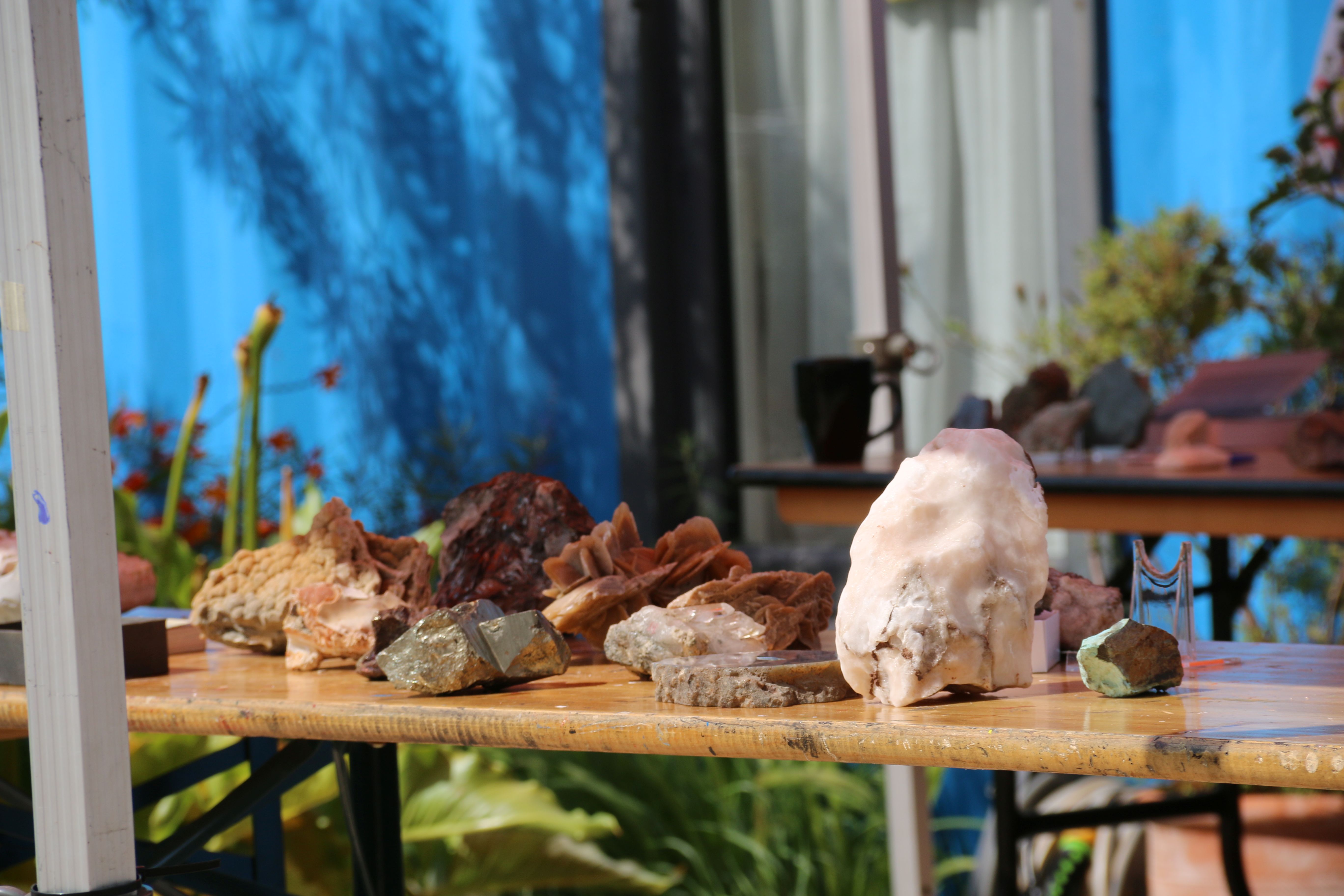 Fossil & Geology Roadshow with Geckoella