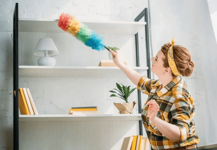 dust is harmful for your home