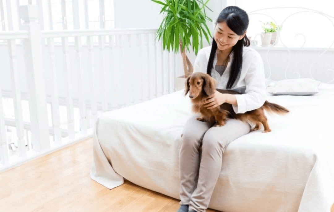 Chicago apartment cleaning Check List