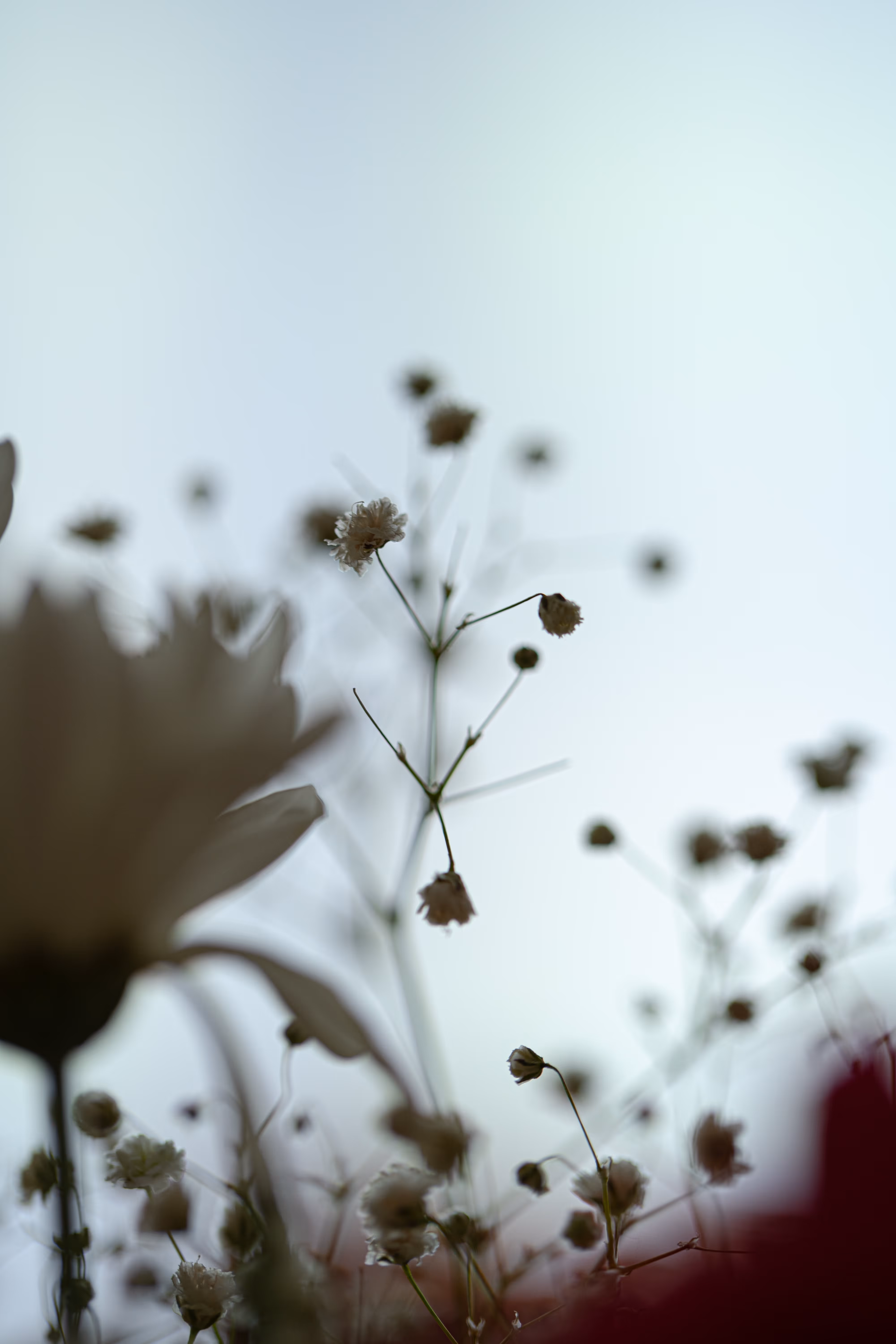 Delicate wedding florals
