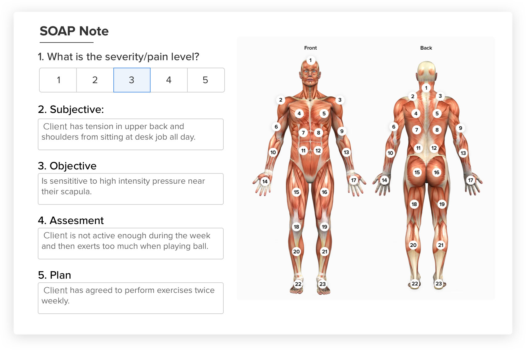 SOAP Notes Management for Chiropractors