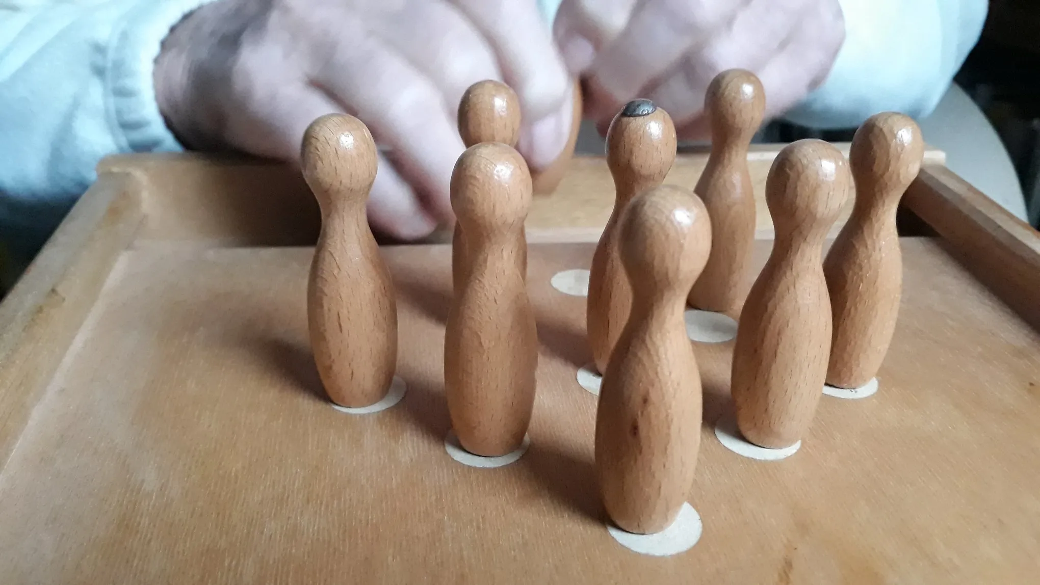 Lebensfreunde Dresden