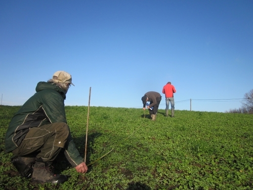Le Warichaix, terre commune ? Des fruits & légumes en commun !