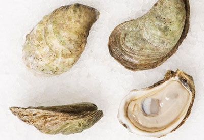 French Kiss Oysters