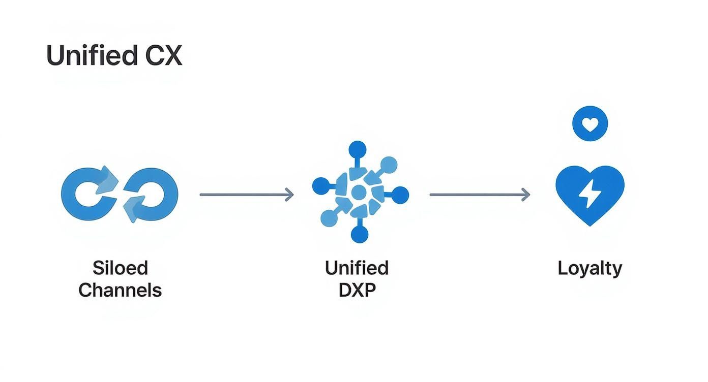 Infographic about digital customer experience management