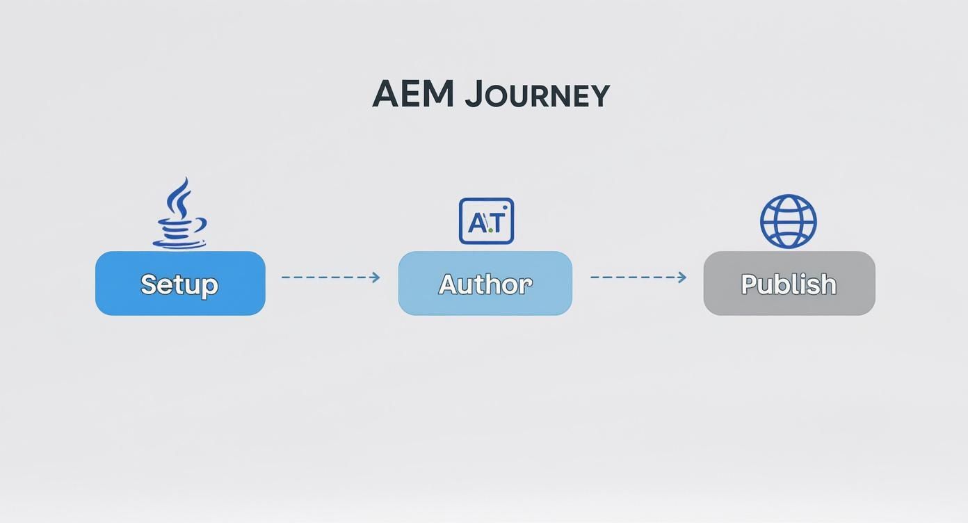 Infographic about adobe experience manager tutorial