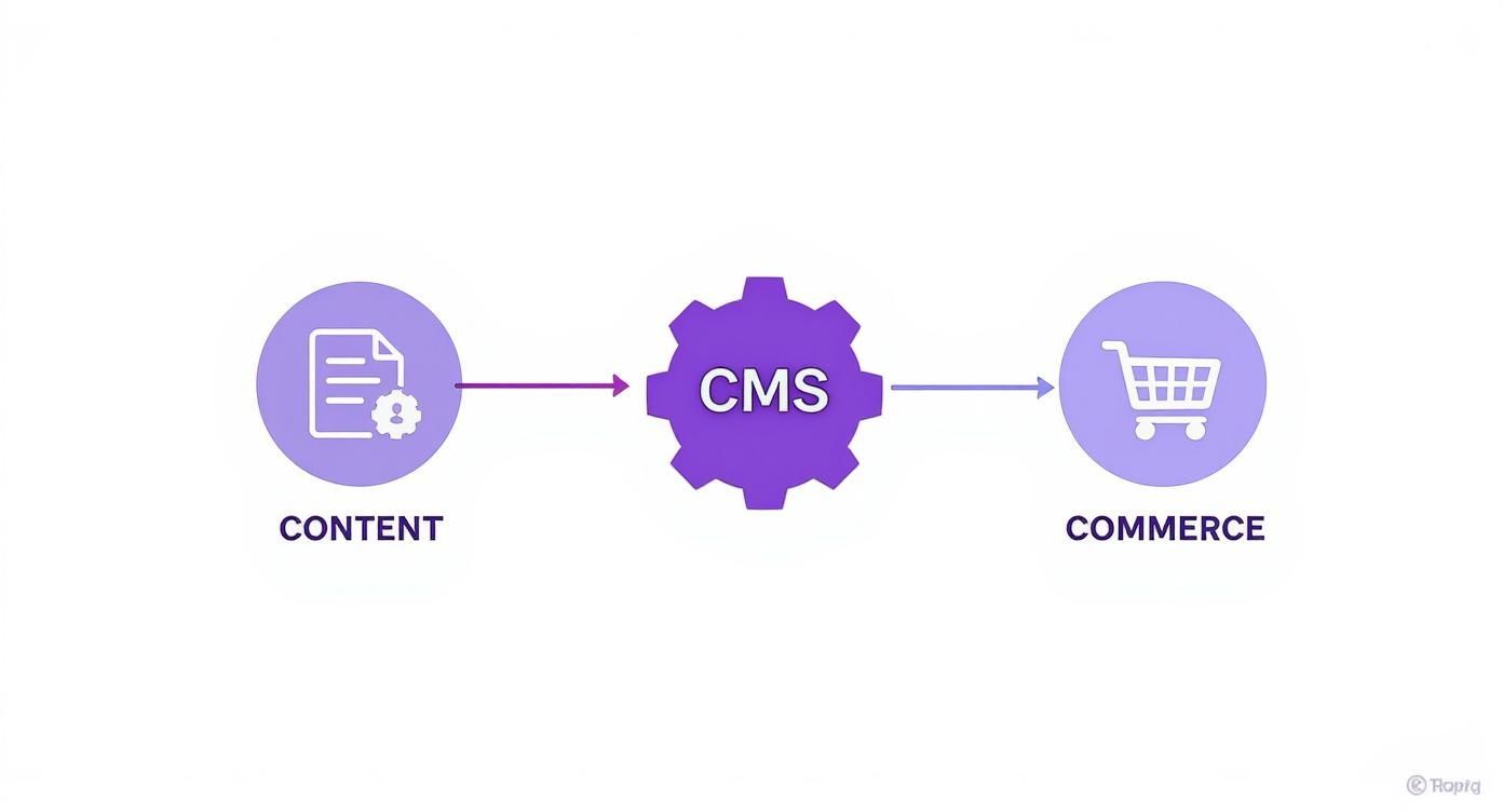 Infographic about cms with ecommerce