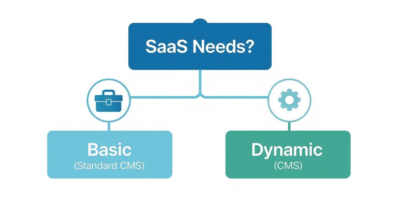 Infographic about cms for saas