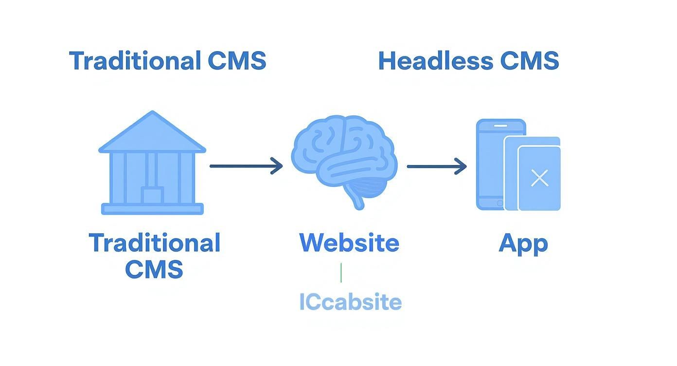 Diagram comparing Traditional CMS content flow to a website versus Headless CMS delivering content to apps.