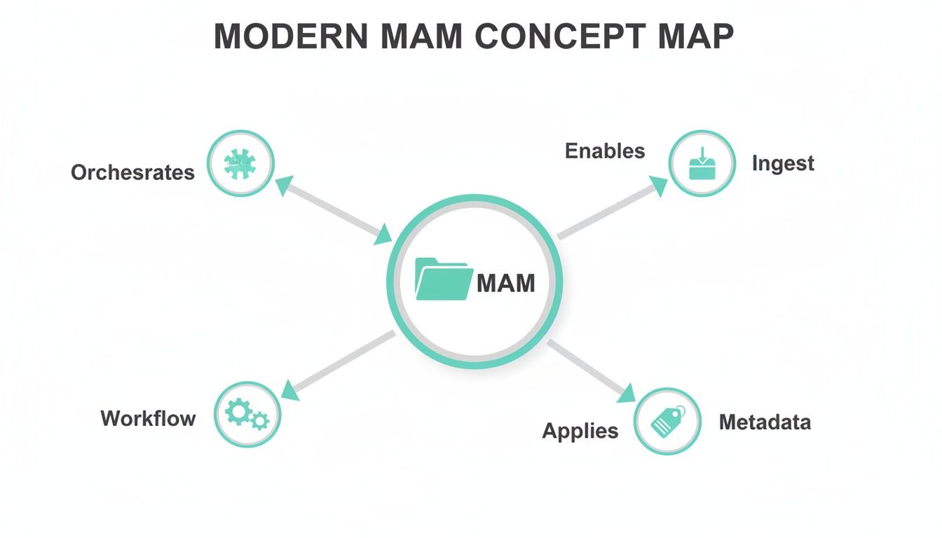 A concept map illustrating the functions of Modern Media Asset Management (MAM) including orchestration, ingest, metadata, and workflow.