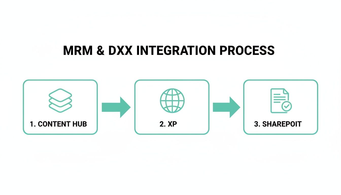Diagram showing MRM and DXX integration process, flowing from Content Hub to XP and then to SharePoint.