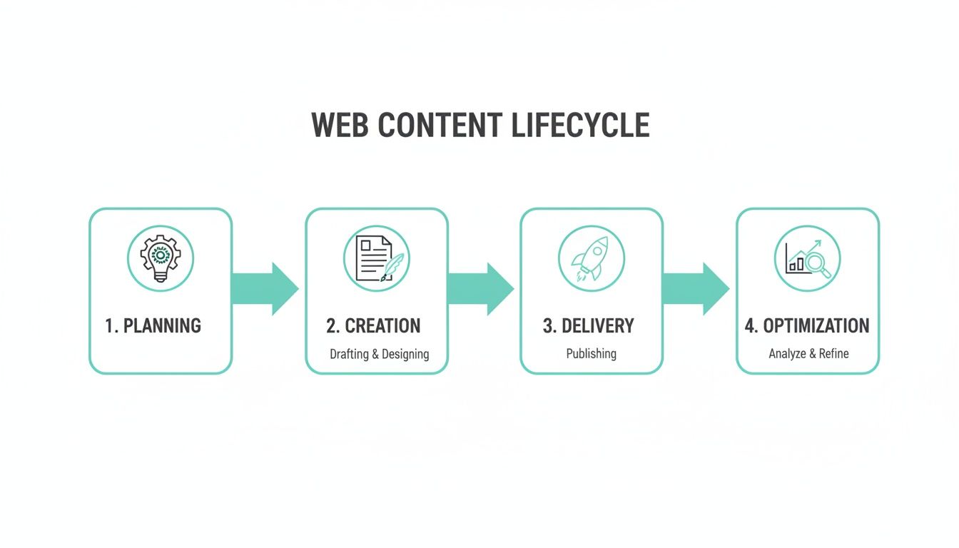 Diagram illustrating the four steps of the web content lifecycle: planning, creation, delivery, and optimization.