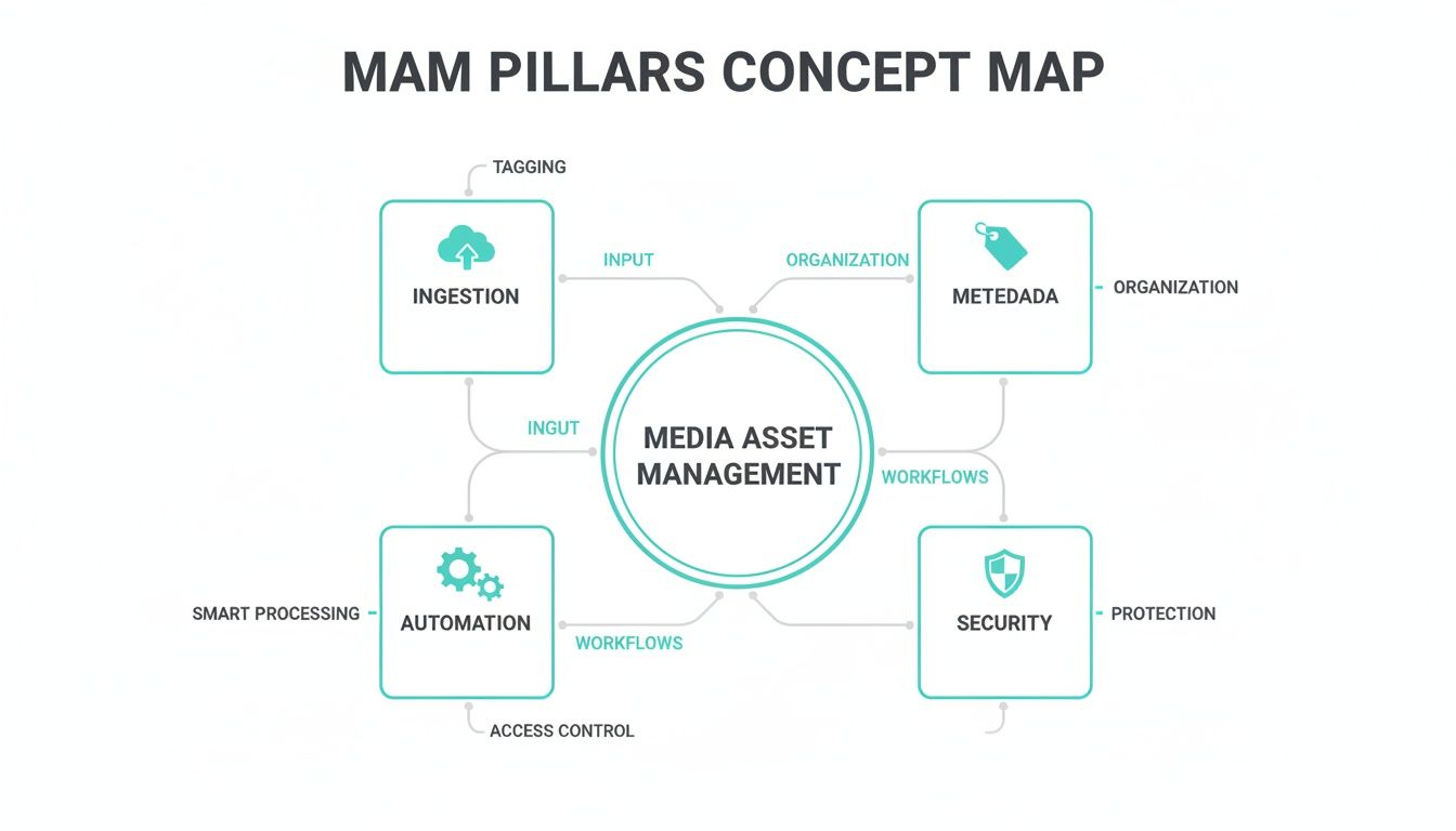 A concept map illustrating the core pillars of Media Asset Management: Ingestion, Metadata, Automation, and Security.