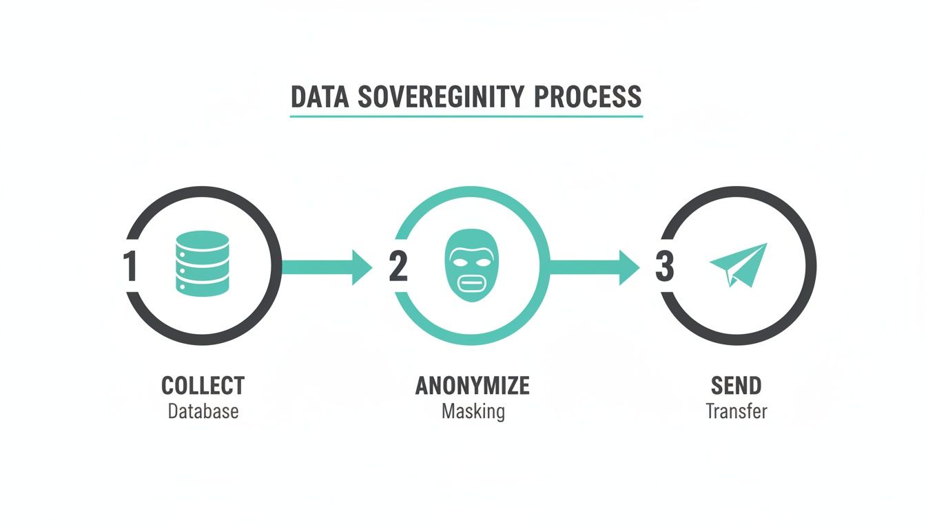 A data sovereignty process diagram showing three steps: Collect data, Anonymize with masking, and Send for transfer.
