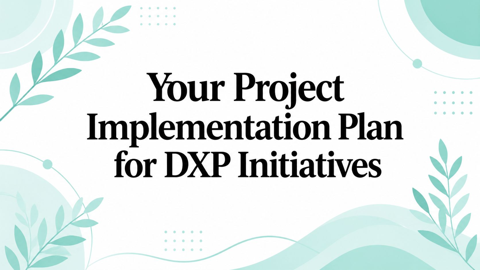 Your Project Implementation Plan for DXP Initiatives