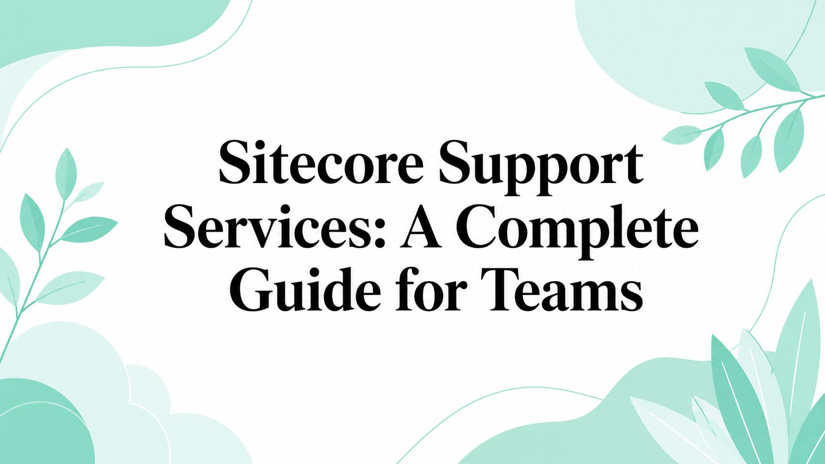 Sitecore Support Services: A Complete Guide for Teams