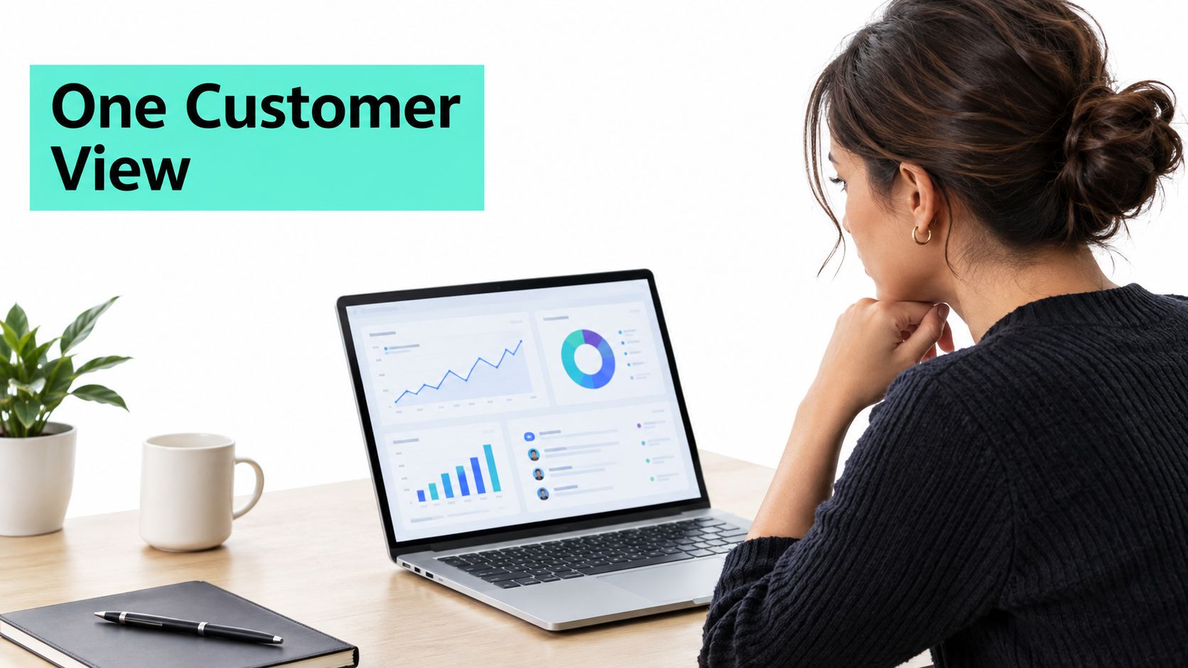 A businesswoman viewed from behind looking at marketing analytics and data charts on her laptop screen.