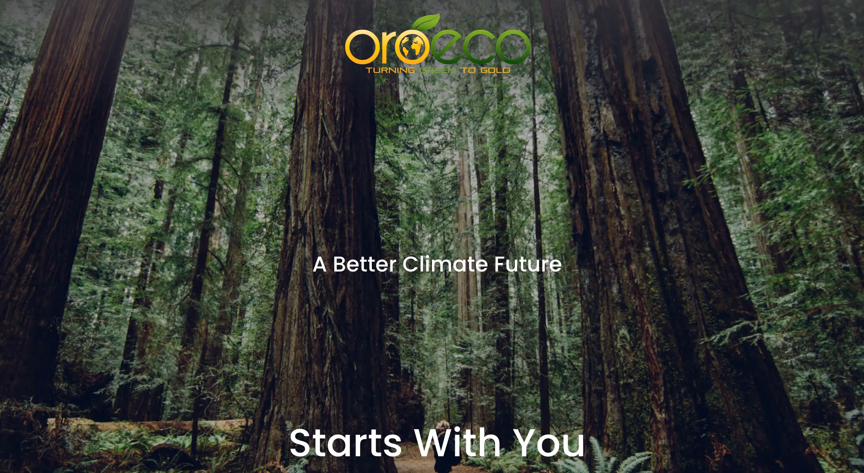 Oroeco website