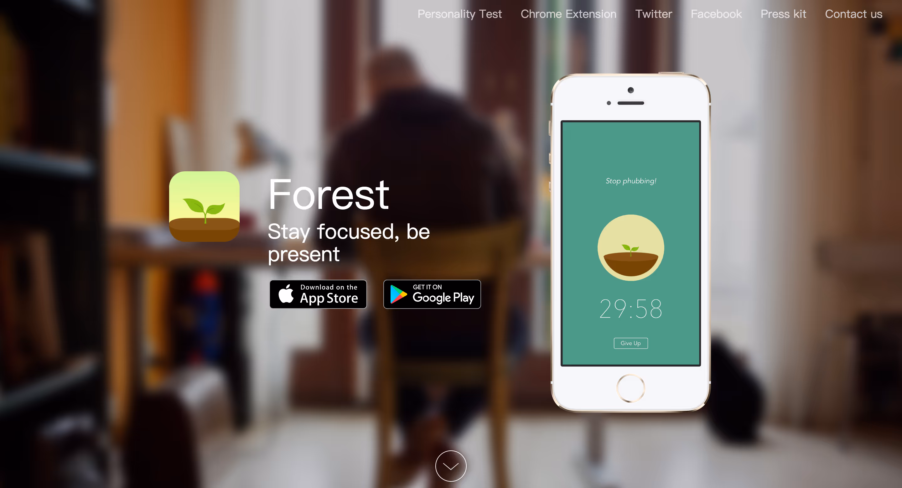Forest download website