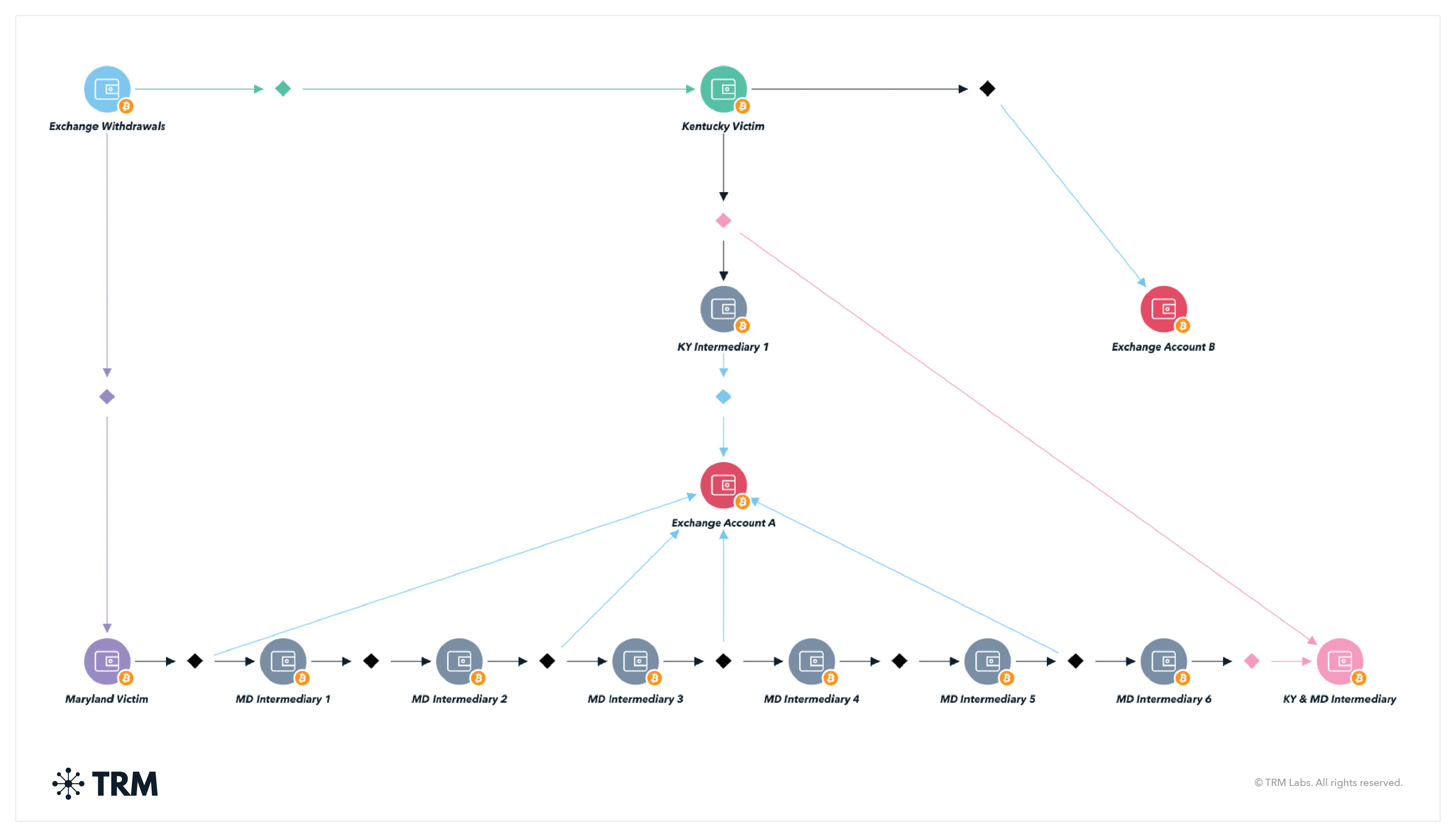 TRM Graph Visualizer, showing how a scammer posing as tech support, convinced a victim based in Kentucky (green) and a victim based in Maryland (purple) to create accounts at an exchange and send the scammer BTC.