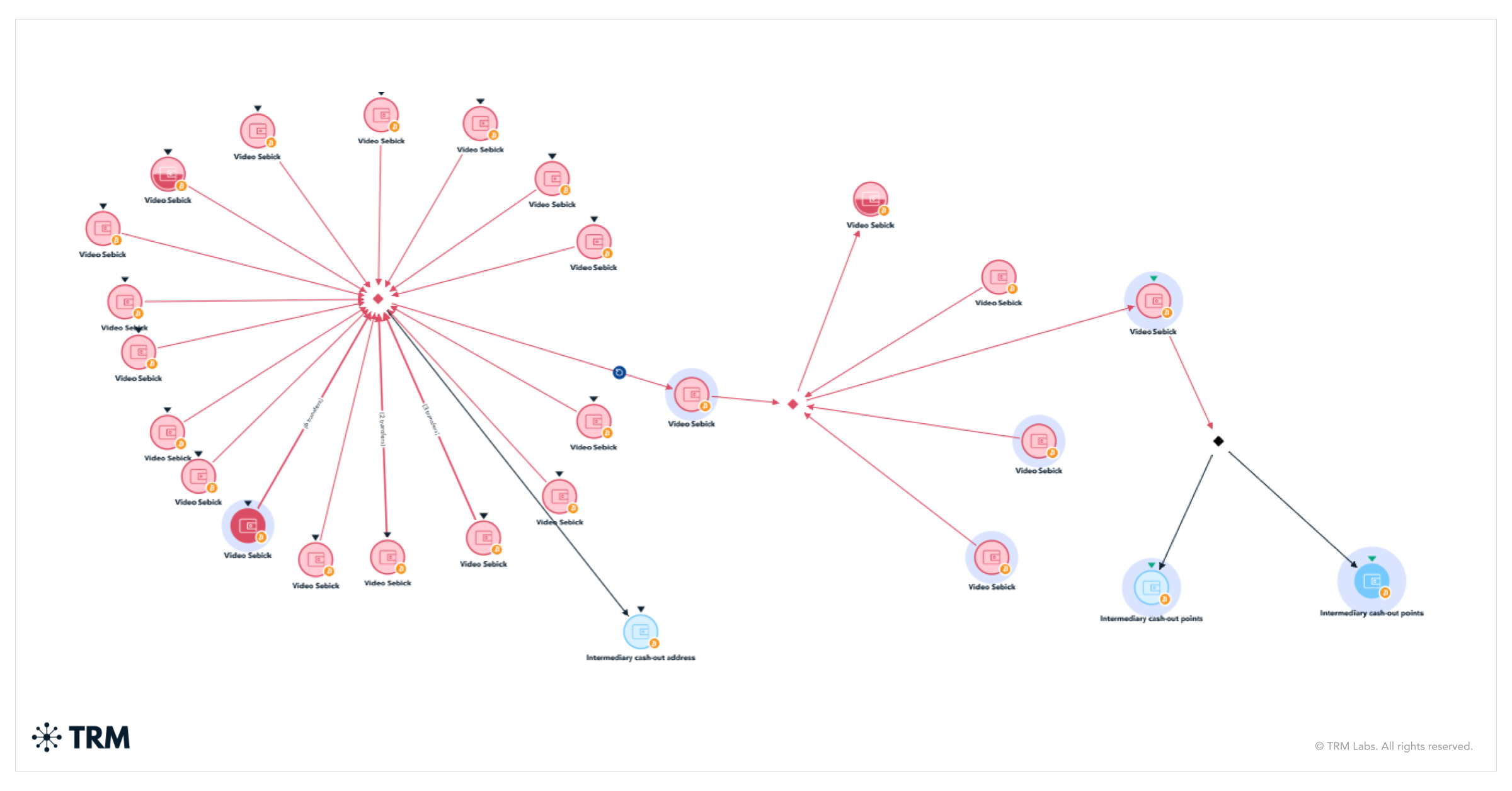 Global Investigation Dismantles Dark Web CSAM Network Through Financial Tracing