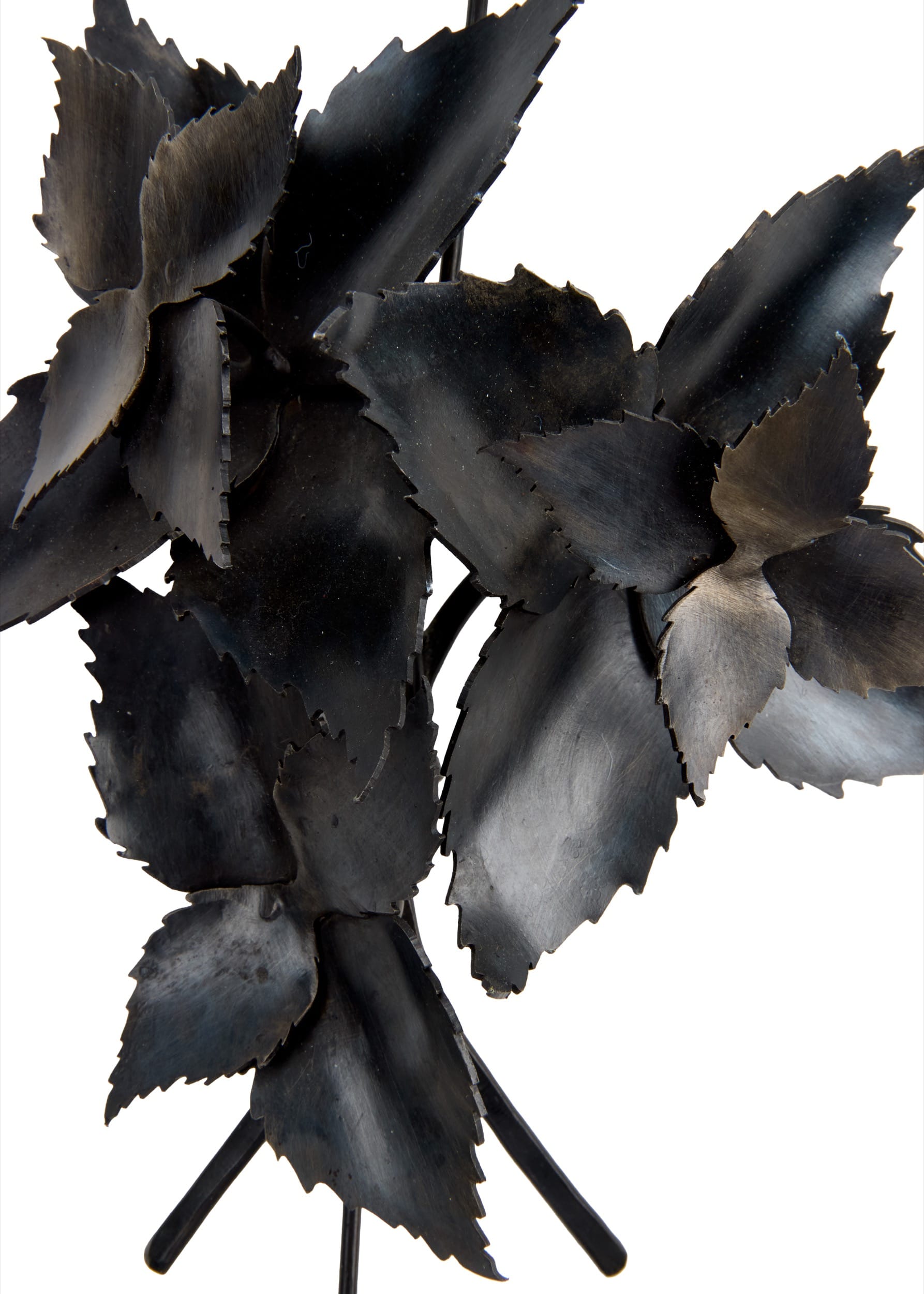 Bouquets for a New Era: Chicory and Mint (2024) (detail)