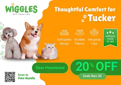 An example of a 4x6 printed postcard.