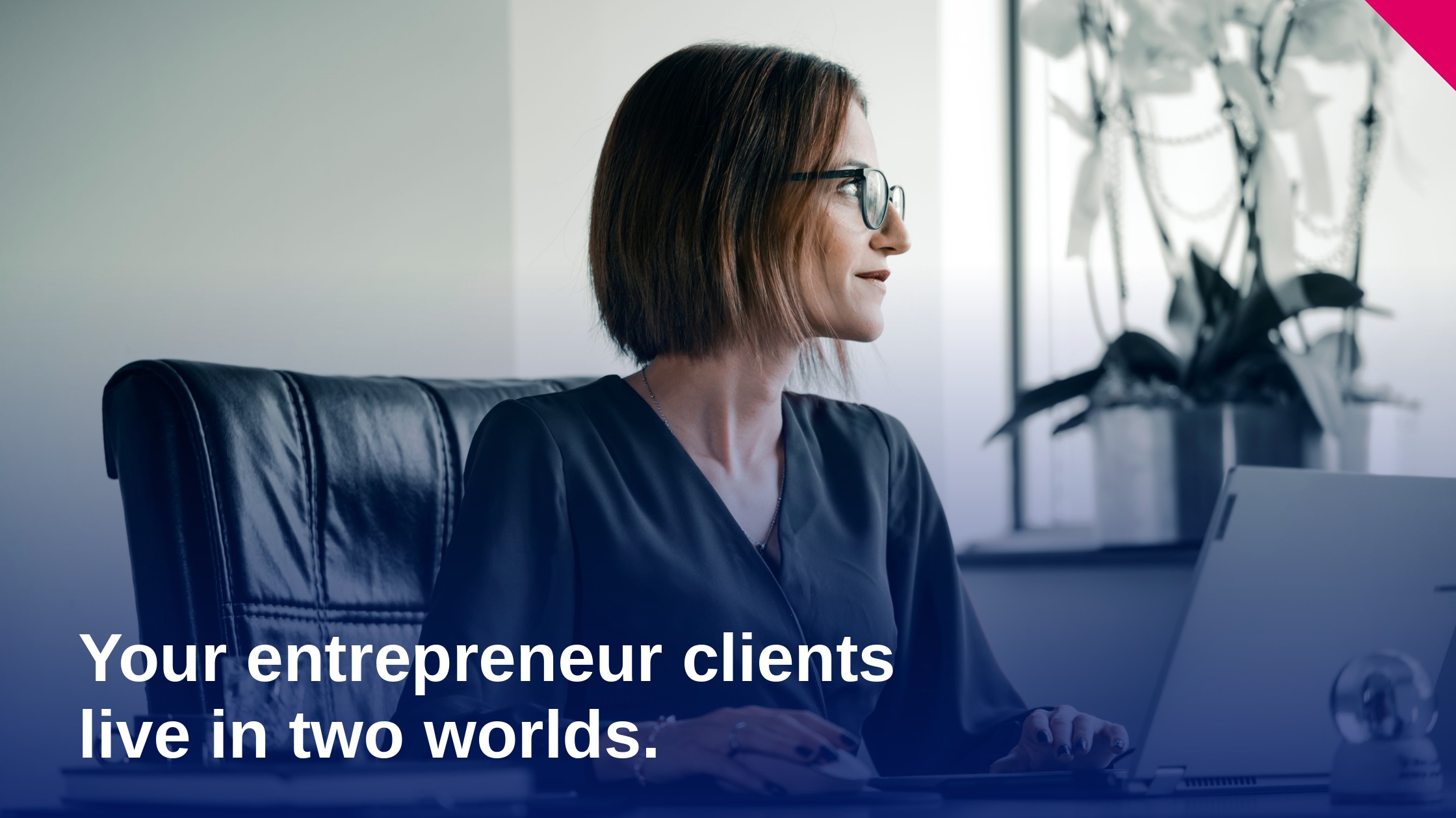 Your entrepreneur clients live in two worlds. You only see one.