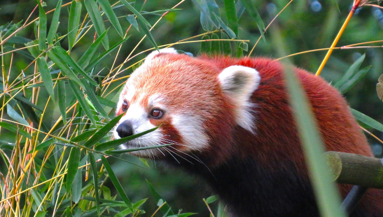 WCS ZOO & AQUARIUM DISCOUNT!