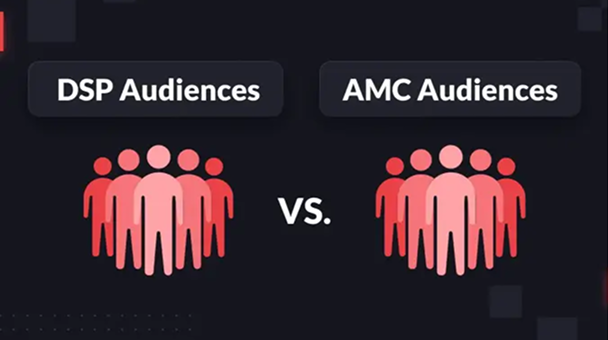 DSP Audiences compared with AMC Audiences