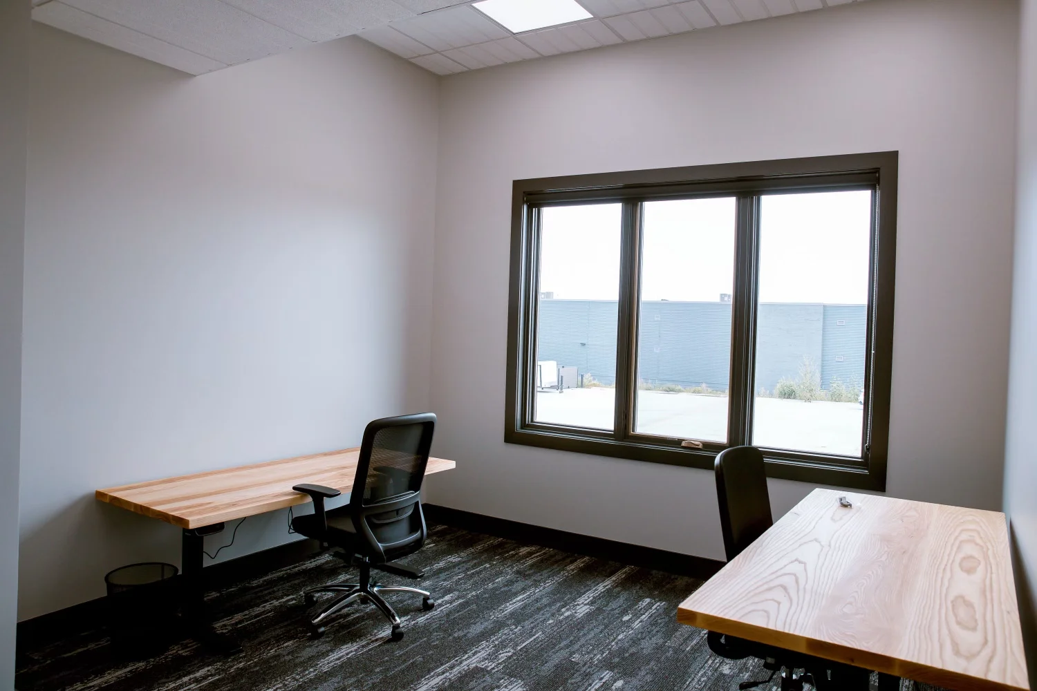 Professional working in a sunlit private office suite - coworking benefits & productivity