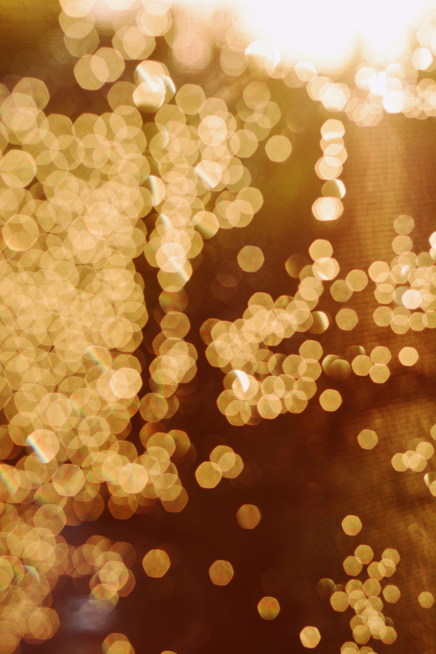 dmitry-bayer-420970-unsplash (1).jpg