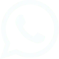Whatsapp icon