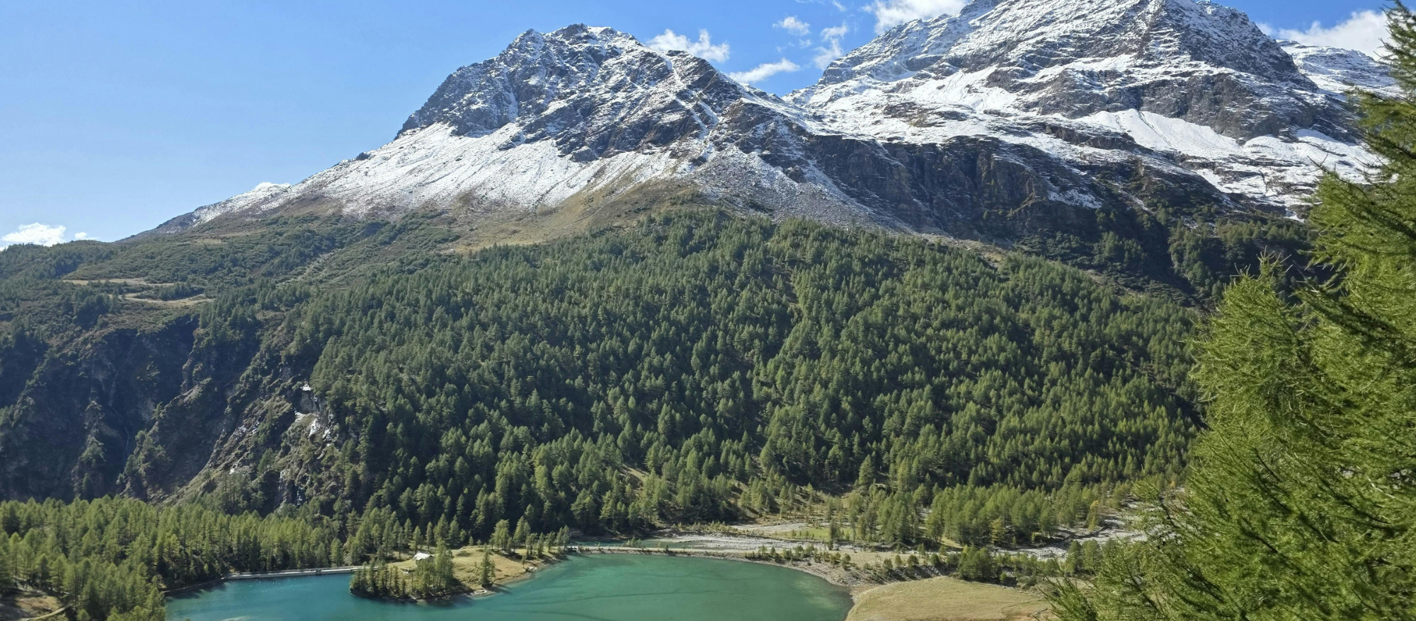 Trail running in Engadin Valley Switzerland for Camp Moritz high-altitude running retreat