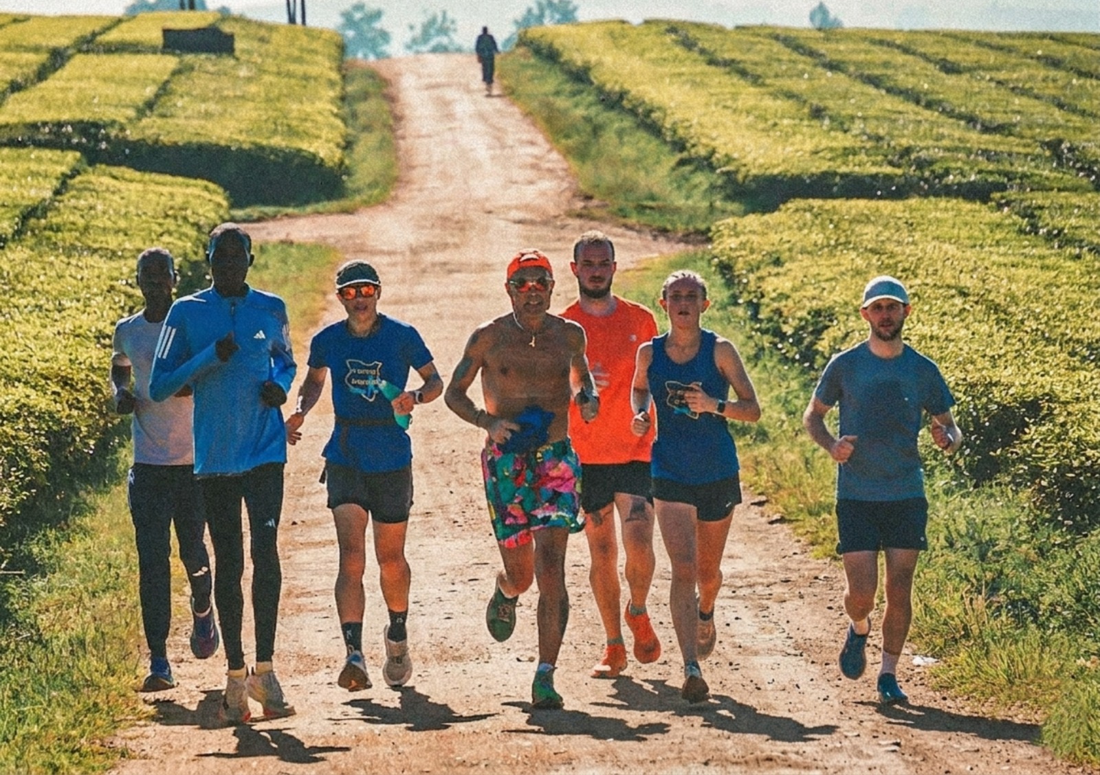Kenya running camp participants doing a long run in Kapsabet tea plantations where Sabastian Sawe trains