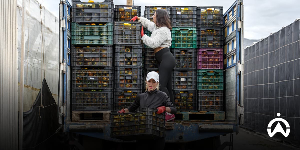 Workers handling crates of yellow fruits in a truck, demonstrating careful loading and organization practices, highlighting key food transportation facts and fleet management strategies.