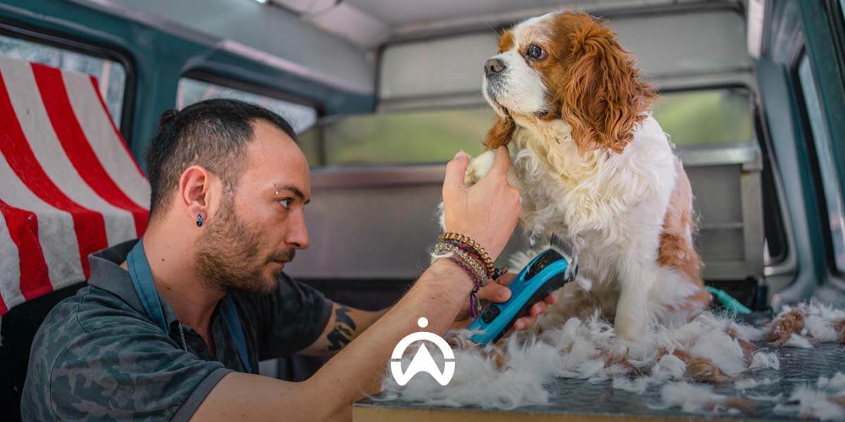 Software_to_Manage_Your_Mobile_Pet_Parlour_Company_Get_All_the_Answers