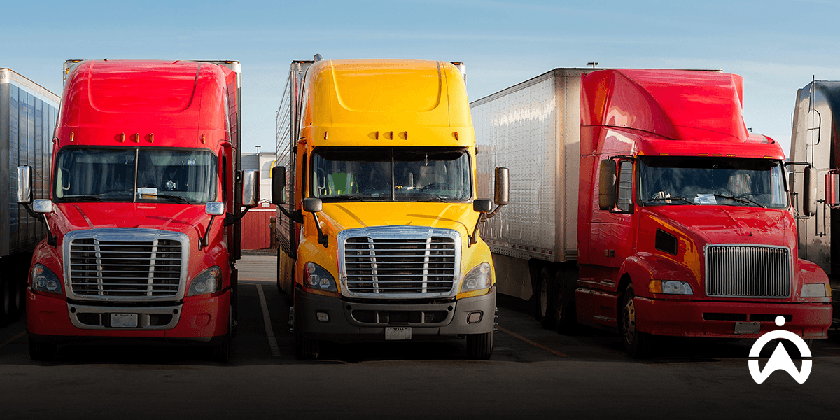 Three semi-trucks parked side by side, illustrating transport management system vs fleet management system operations.
