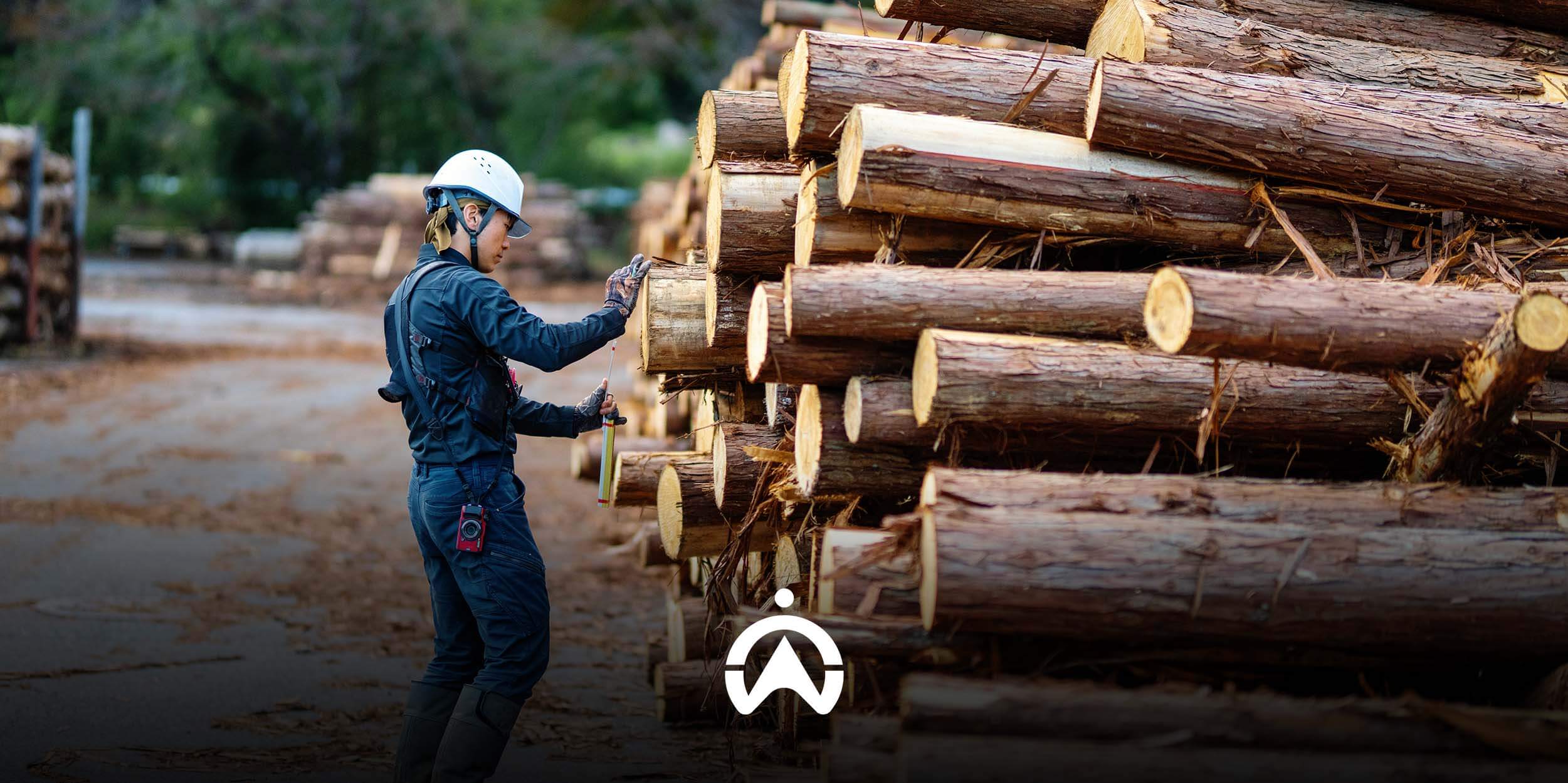 Fleet_Solution_for_Your_Forestry_Company_Get_All_the_Facts