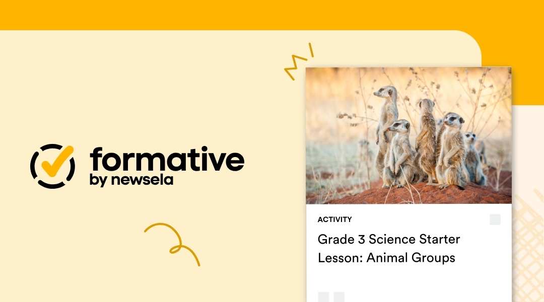 A Formative by Newsela activity slide for a Grade 3 Science starter lesson on Animal Groups, featuring a photo of a group of meerkats standing alert in a desert environment.