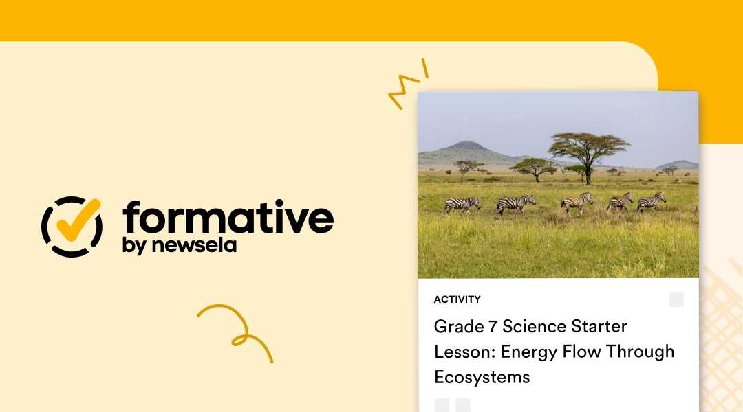 A Formative by Newsela activity slide for a Grade 7 Science starter lesson on Energy Flow Through Ecosystems, featuring a photo of zebras grazing on a grassy savanna.