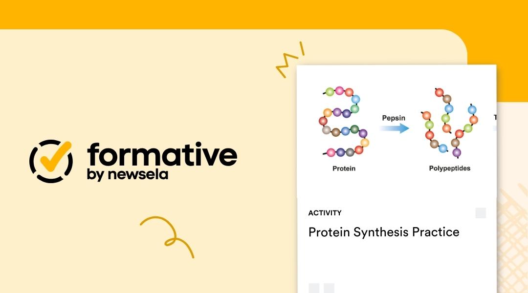 Diagram showing a protein chain being broken down by the enzyme pepsin into smaller polypeptides for a Formative by Newsela activity titled "Protein Synthesis Practice."