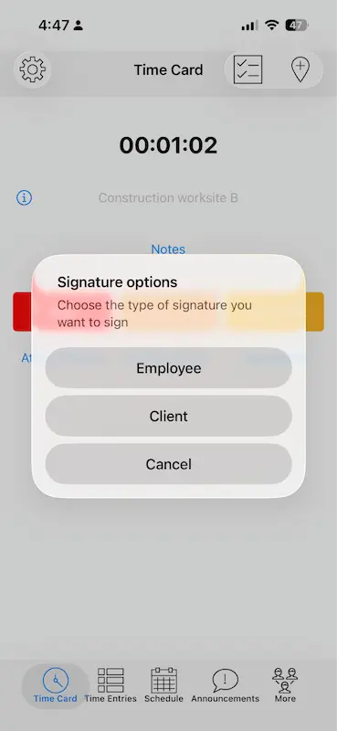 screenshot showing timeero’s siganture options