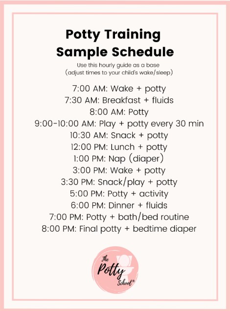 toddler potty training schedule example