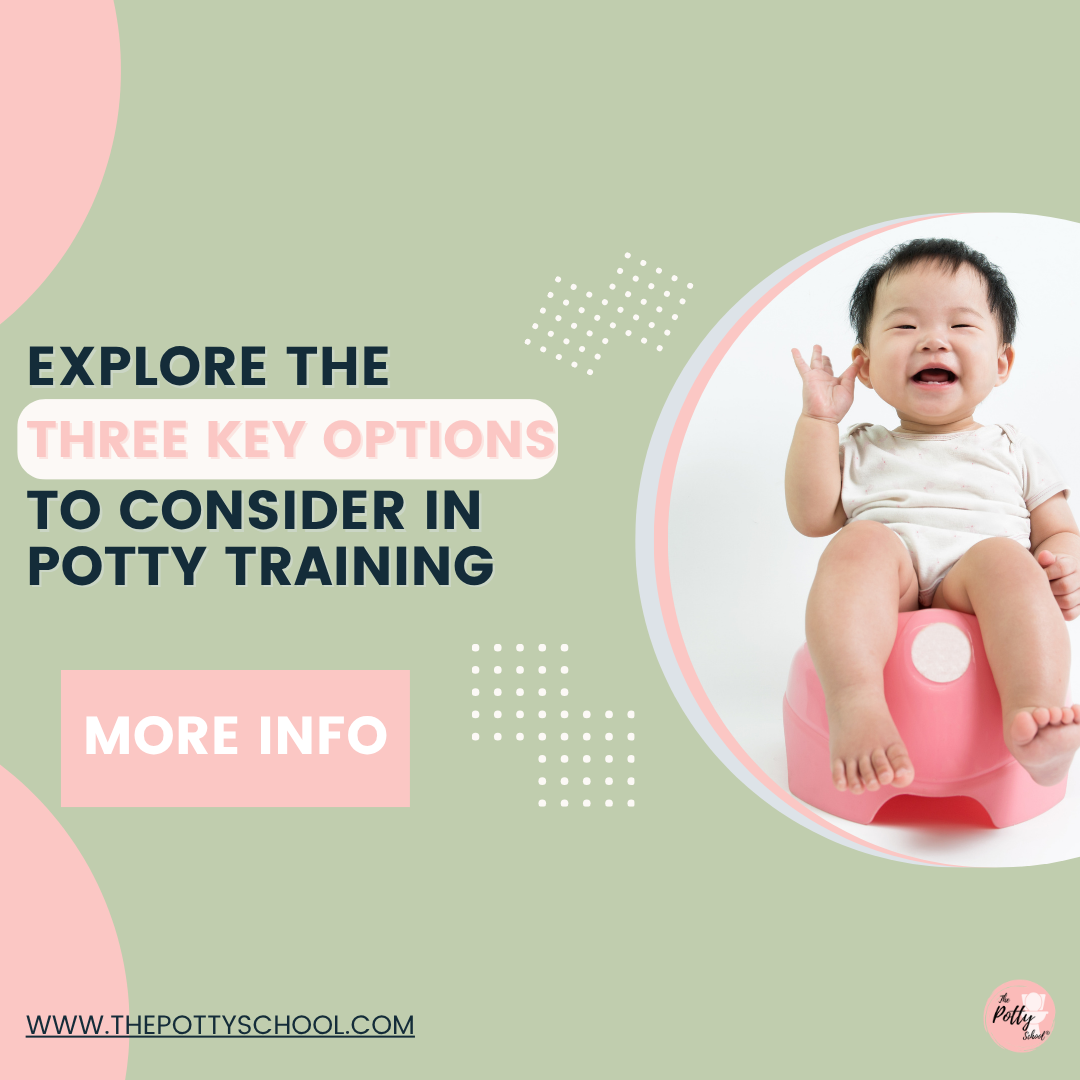 baby on potty words say: Explore the 3 key options for consider in potty training, more info"