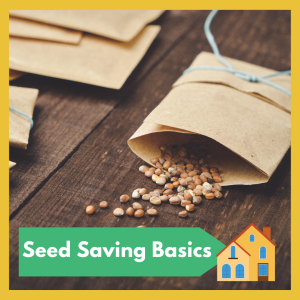 Seed Saving Basics, free and open to all